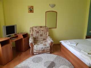 Гостевой дом Pensiunea Sabina Яссы Двухместный номер Делюкс с 1 кроватью и душем-4