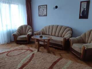 Гостевой дом Pensiunea Sabina Яссы-7