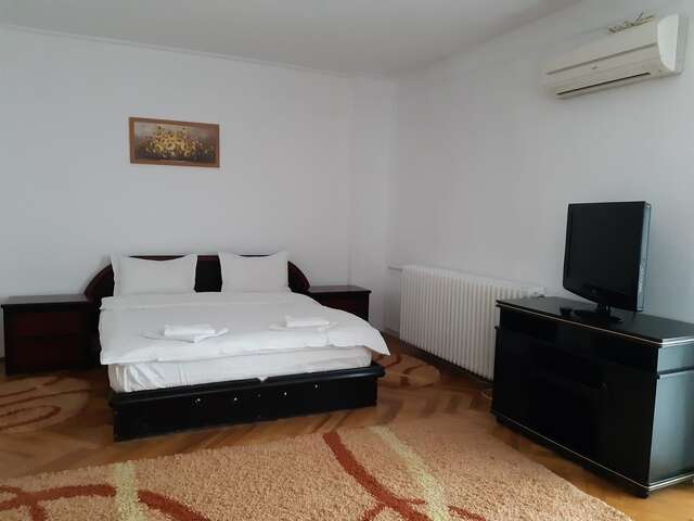 Гостевой дом Pensiunea Sabina Яссы-4