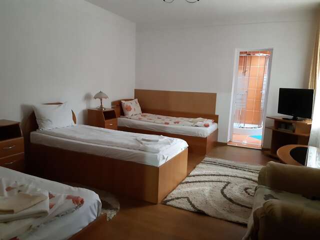 Гостевой дом Pensiunea Sabina Яссы-11